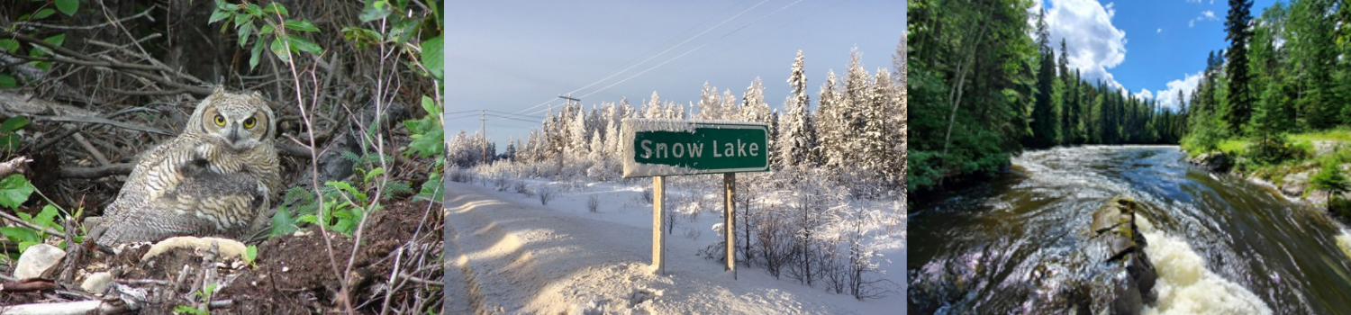 Town of Snow Lake